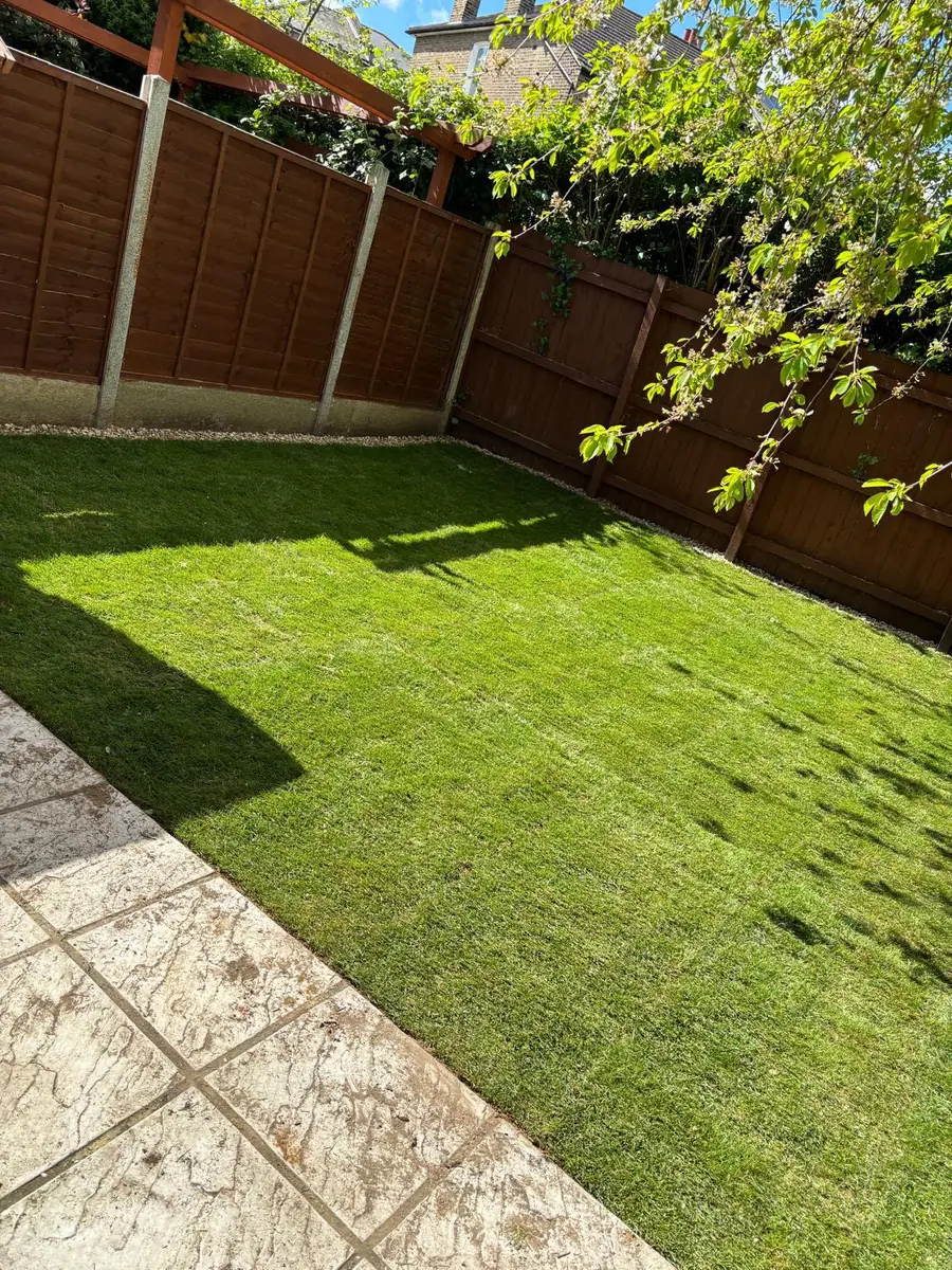 Newly turfed lawn and new fencing