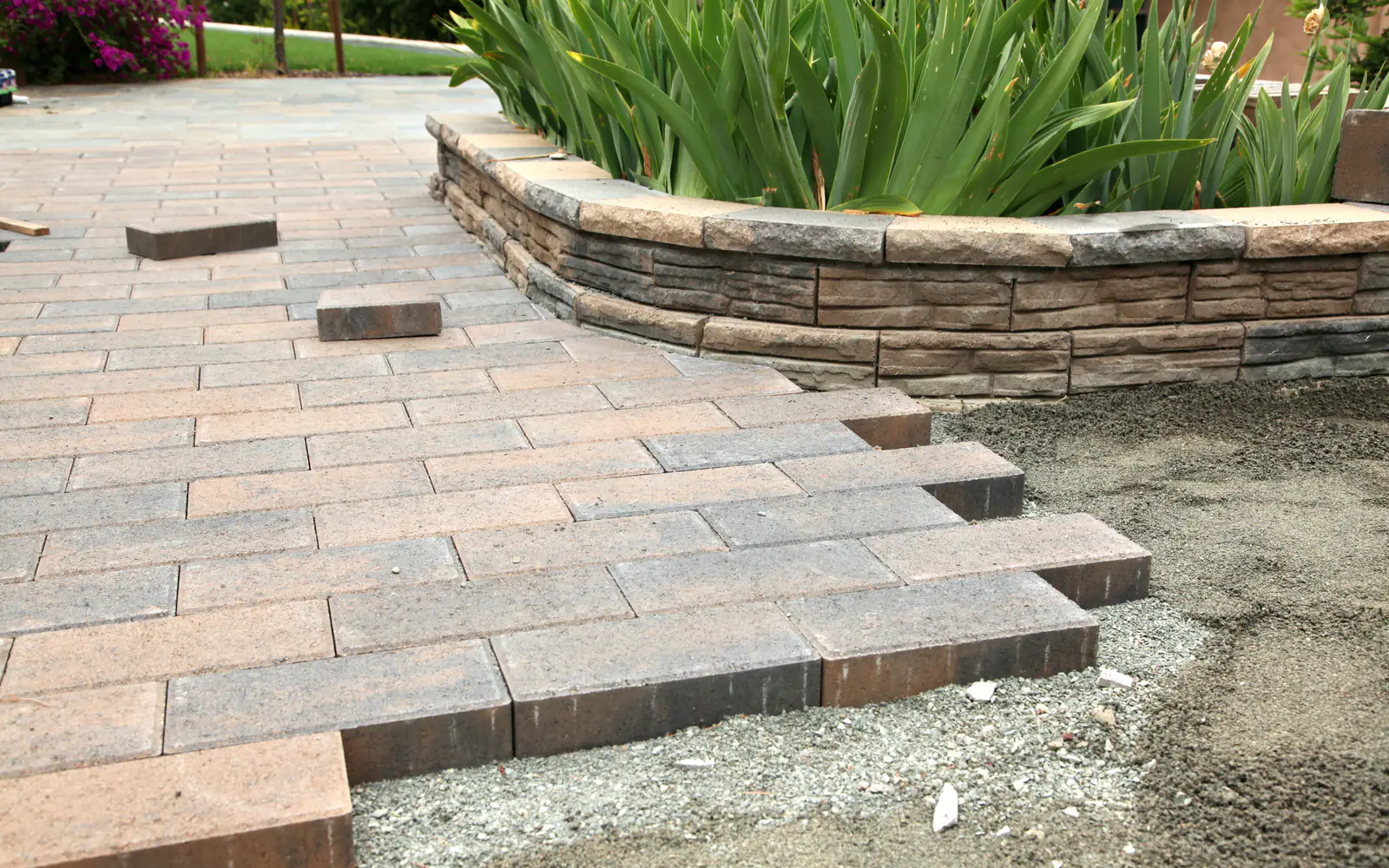 Paths & Steps
