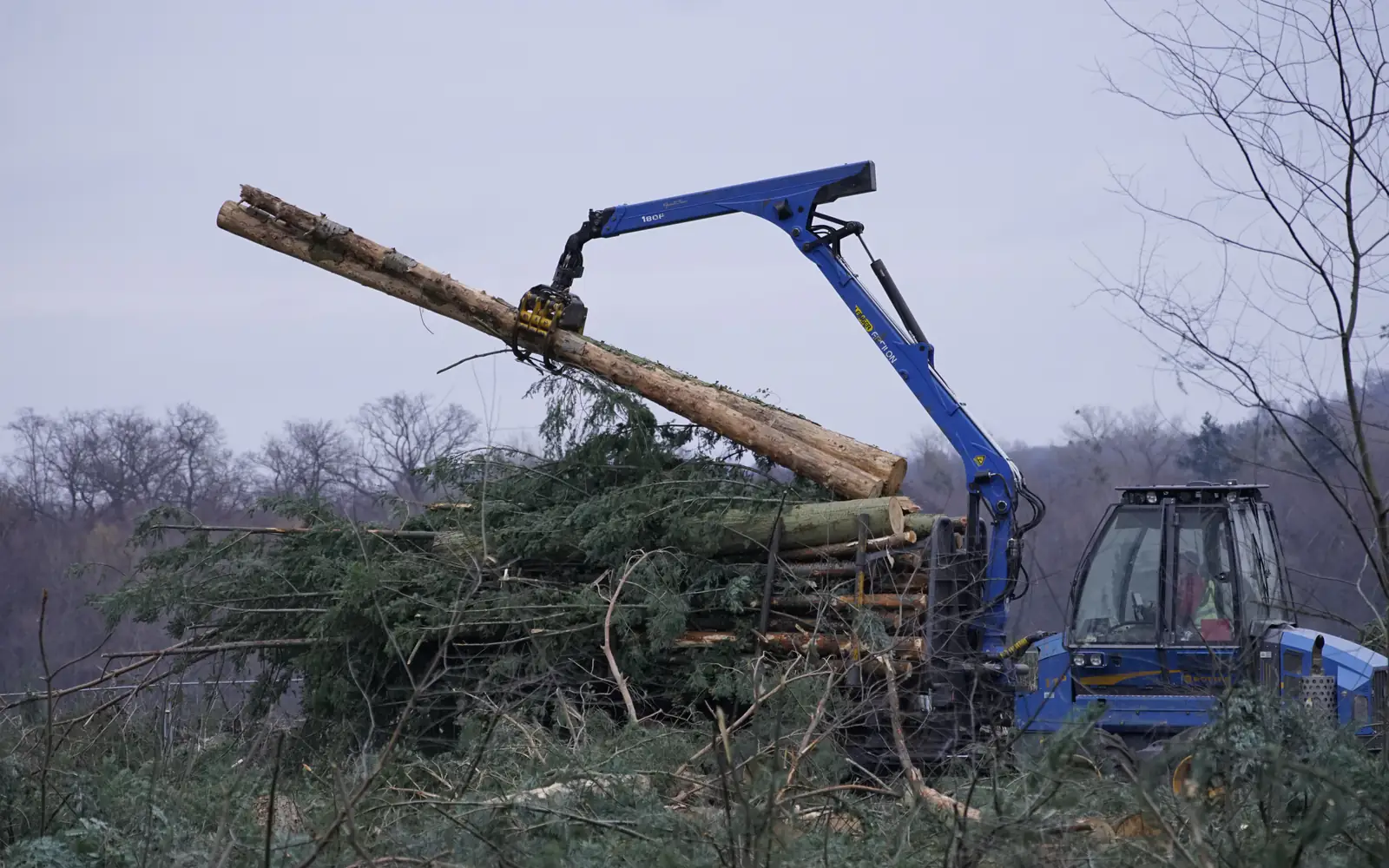 Site Clearance