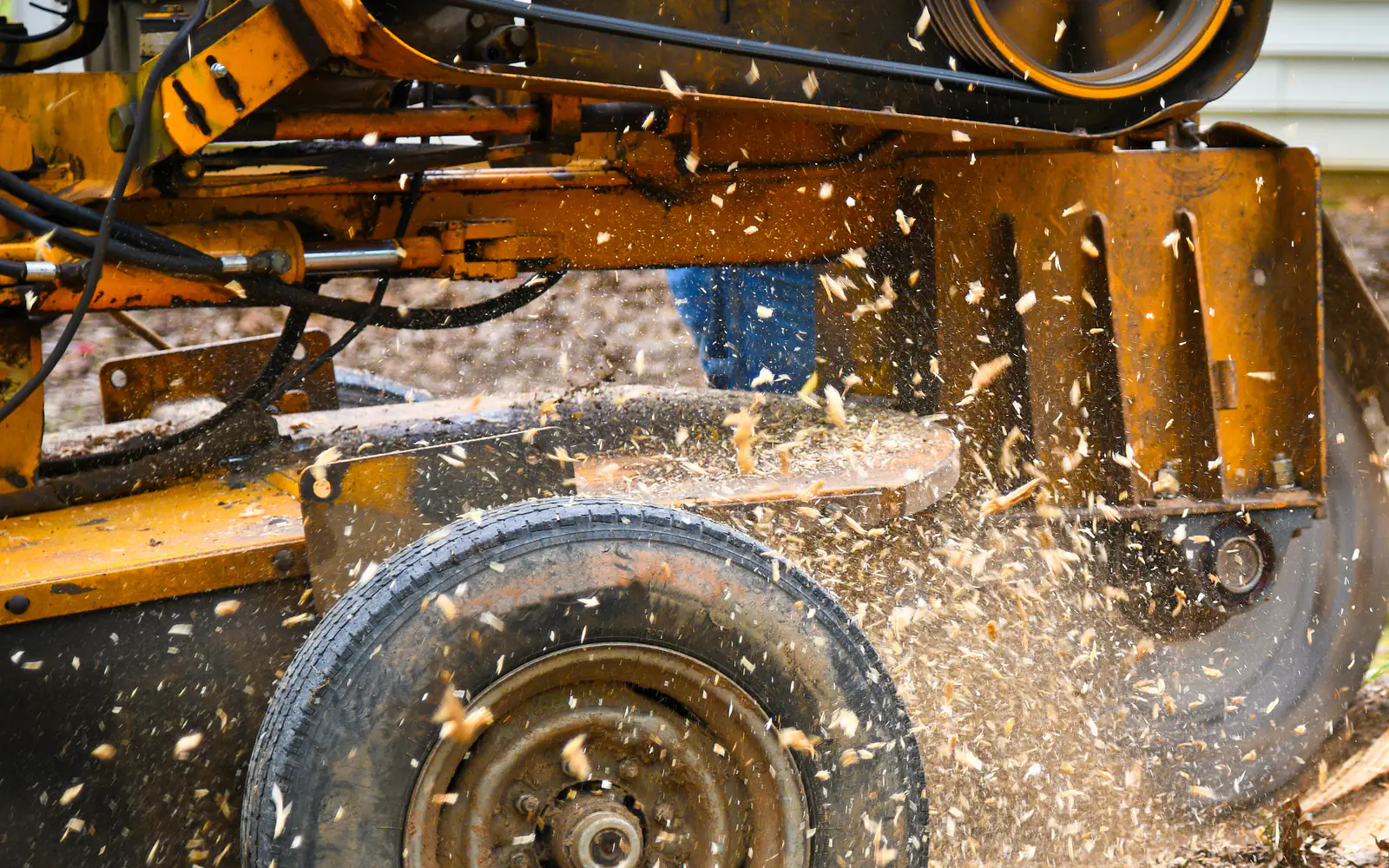 Stump Grinding